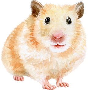 Hamster Watercolor Illustration